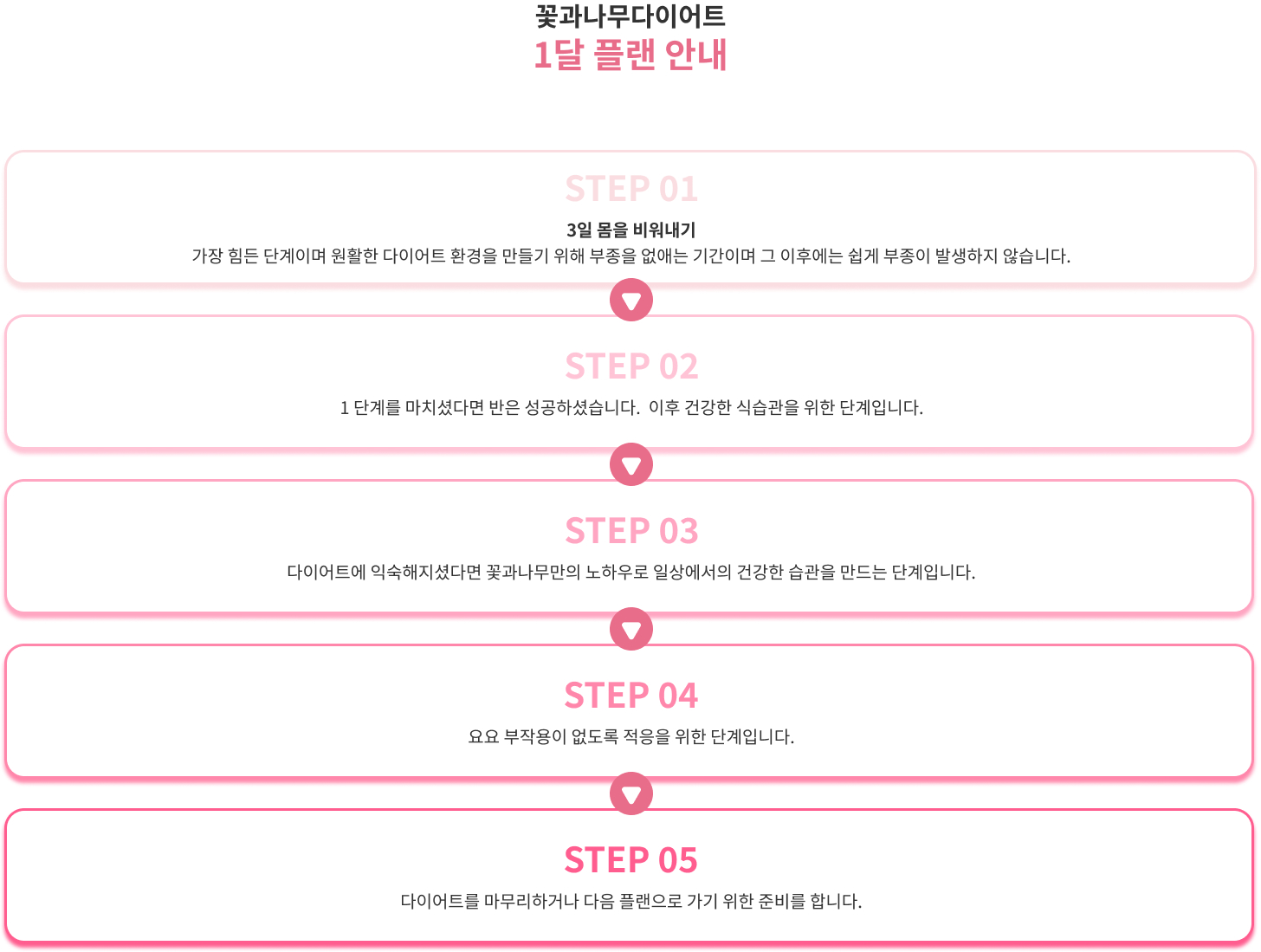 프로그램 계획 이미지